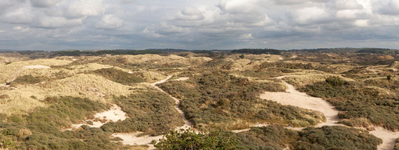 Zandvoort Beach for Amsterdam